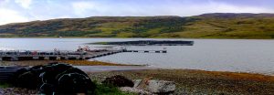 Isle of Mull salmon hatchery